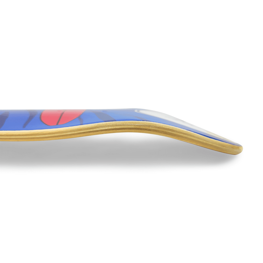 Bone Cruiser North East Maple Complete Skateboard - Image 5