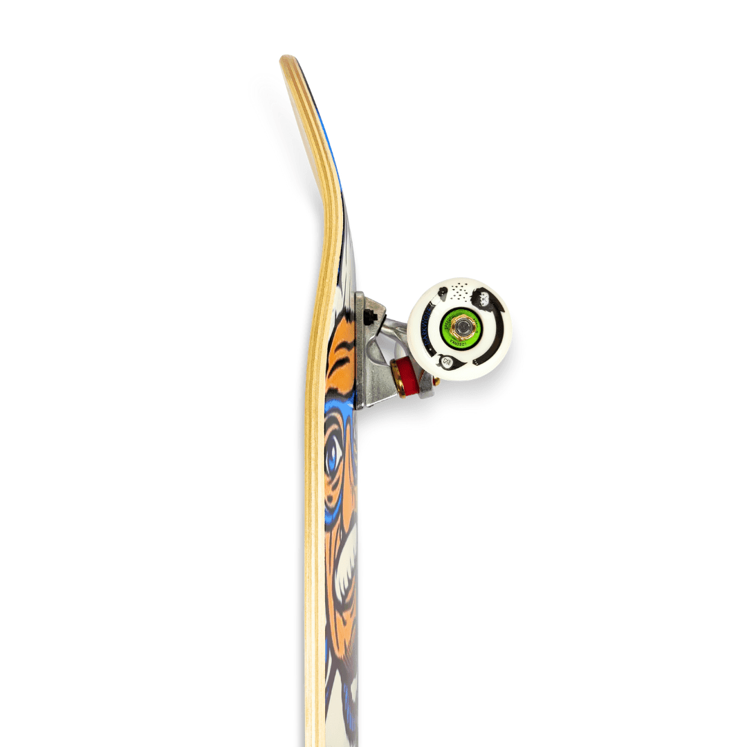 Eccentric Explorer North East Maple Complete Skateboard - Image 5